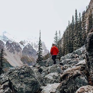 Zdjęcie do artykułu: Zrównoważone podejście